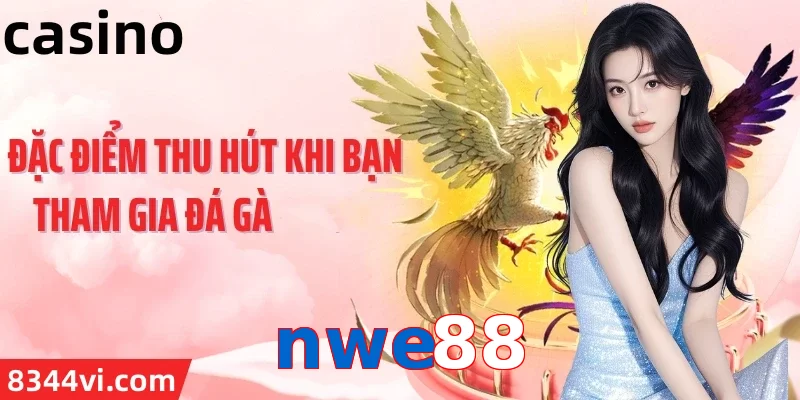 nwe88